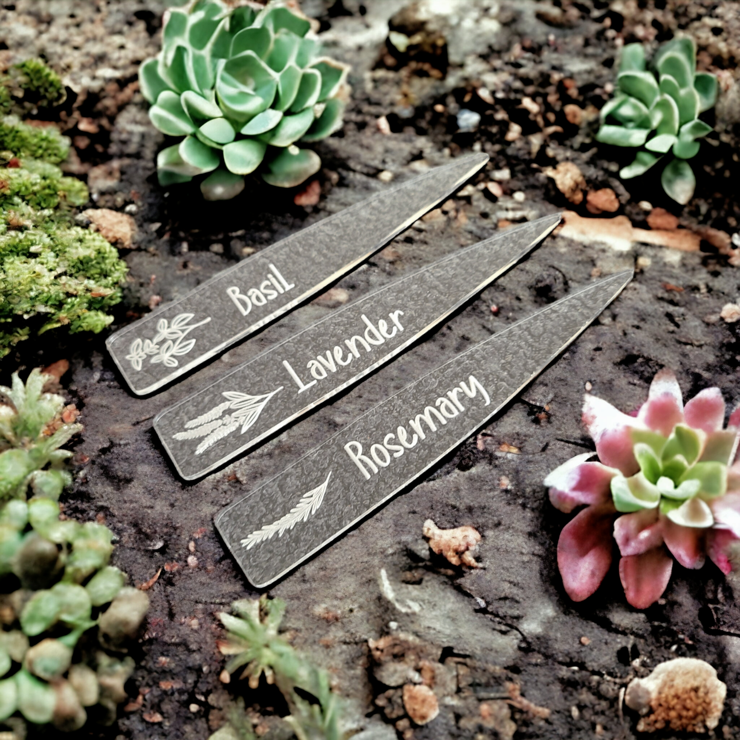 Clear Acrylic Garden Markers